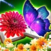 麻花星空mv免费观看高清视频免费版